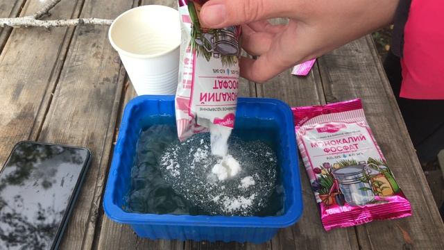 Осенняя подготовка новобельгийской астры к зиме смотреть онлайн