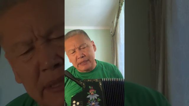 Кони привередливые. В. Высоцкий. Разбор песни на гармони (окончание) смотреть онлайн