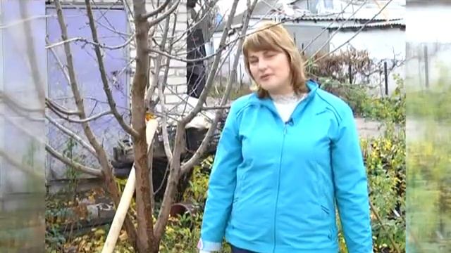 Календарь природы смотреть онлайн