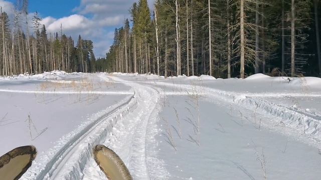 Весеннее путешествие по избам! смотреть онлайн