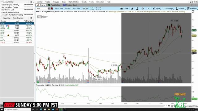Trading with Prime Live Stream смотреть онлайн