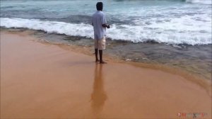 Путешествие на Шри-Ланку. Часть 2. Отель Citrus Hikkaduwa 3 или 4*