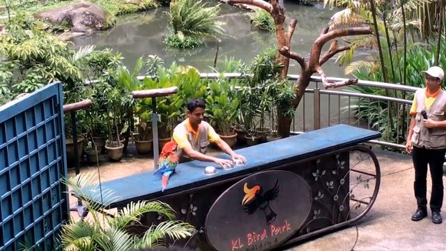 Парк Птиц(Куала-Лумпур) смотреть онлайн