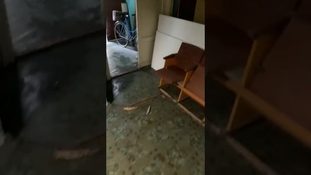 Наши будни 6 смотреть онлайн