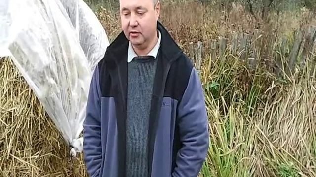 Измельчение соломы для вешенок (chopping Straw For Mushroom Substrate)