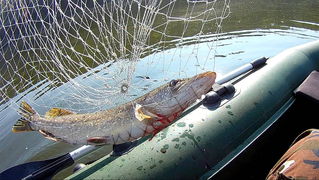 РЫБАЛКА НА ТРОЛЛИНГ + ОТДЫХ С ПАЛАТКАМИ ДЕНЬ 2 смотреть онлайн