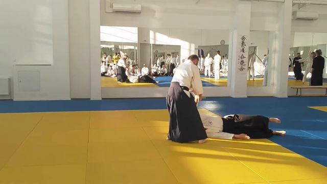 Новиков Иван Анатольевич 6 дан Айкидо Айкикай смотреть онлайн