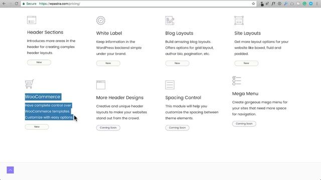 How To Make An Online eCommerce Store Website With WordPress смотреть онлайн