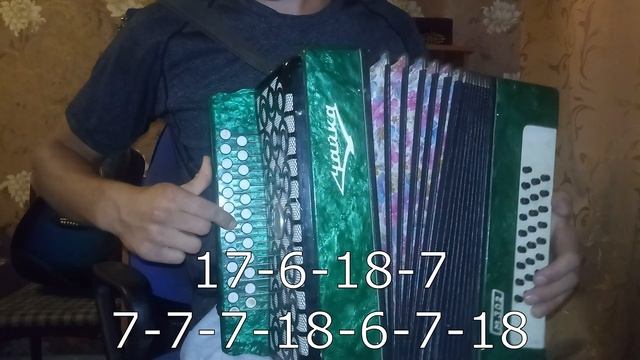 Родник на ГАРМОНИ разбор с цифрами смотреть онлайн