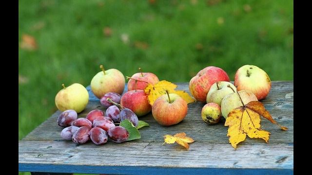 Лунный посевной календарь на март 2022. Что посеять в марте смотреть онлайн