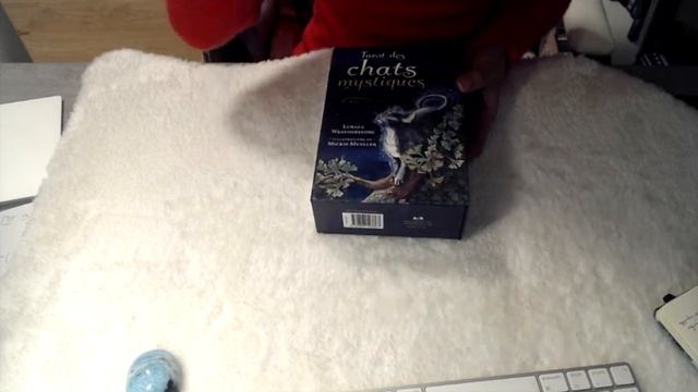 Top 5 Tarot & Oracle Decks of 2019 + Holiday goodies - 31 Days of Tarot 2020 смотреть онлайн