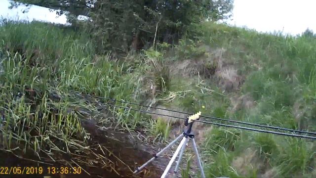 Результат рыбалки. Брест. Муховец. Красный двор. смотреть онлайн