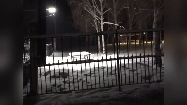 Зимняя ночь в деревни смотреть онлайн