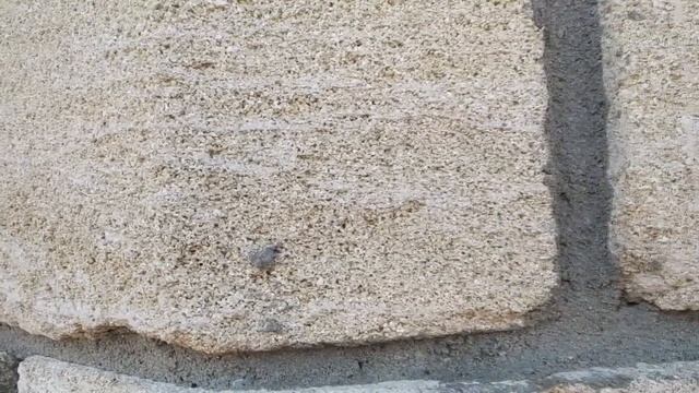 Xiaomi Redmi 6 PRO что понравилось за 21 день? И что нет! смотреть онлайн