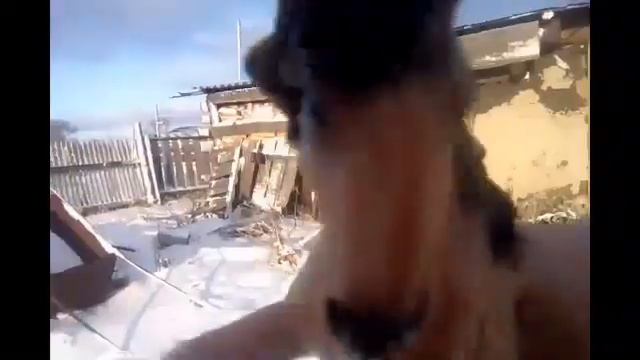 Реклама+ Клип к Сериалу Спирит Душа Свобрды смотреть онлайн