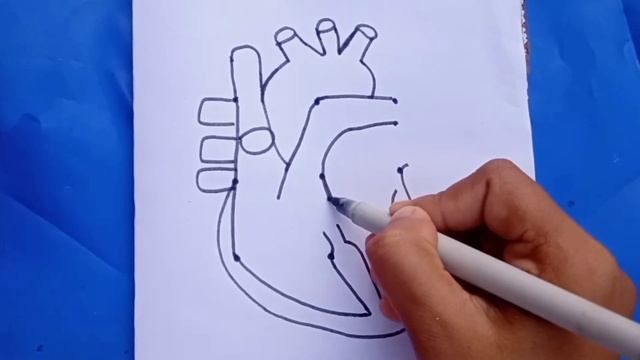 9 Dots की मदद से Human Heart Diagram Drawing | How to draw Human Heart Diagram | human heart | смотреть онлайн