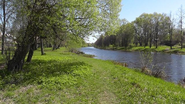 Panasonic HDC-SD90/TM90 video test - HX mode (50i, 9 Mbps) смотреть онлайн