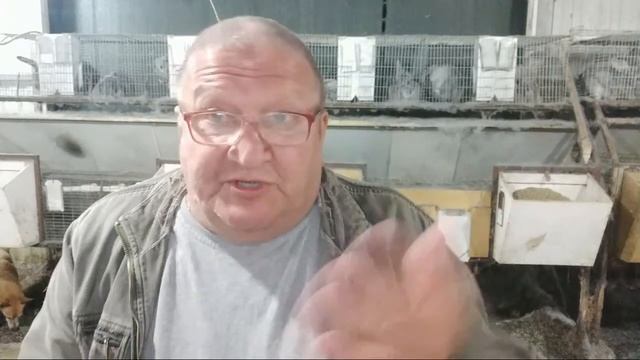 ?Где взять денег на ферму Чем подогреть гнездо и как добыть Кроличьи языки Субботний МАРАФОН #МАКРО смотреть онлайн