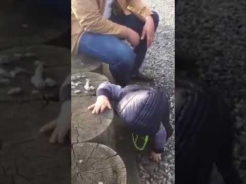 Дёми-Дём, куда идём?