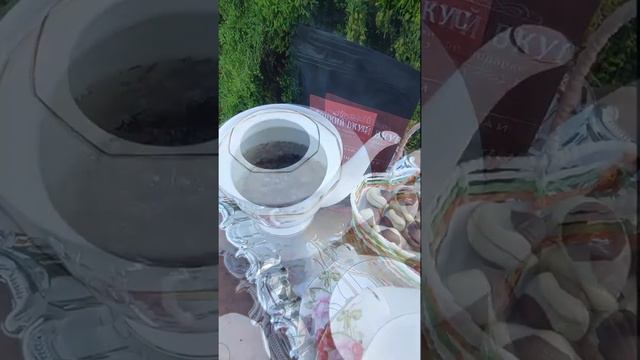 Дарджилинг Каслтон смотреть онлайн