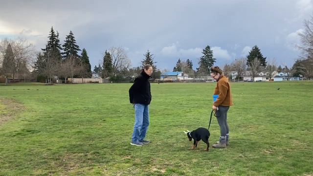 Unlocking the Secret to Teaching Your Doberman Puppy Eye Contact in Minutes смотреть онлайн