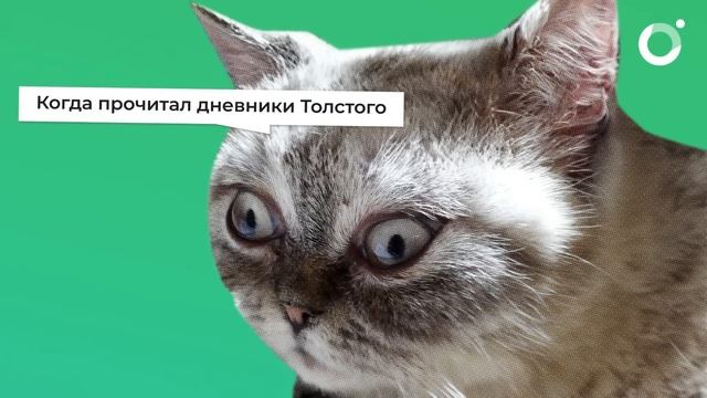 Вся правда о Льве Толстом – о чем не расскажут в школе смотреть онлайн