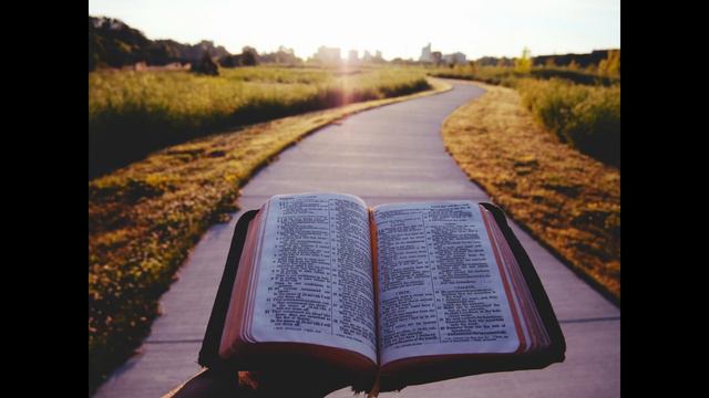 Psalm Bites #16 | Psalm 12:6-8, NKJV смотреть онлайн