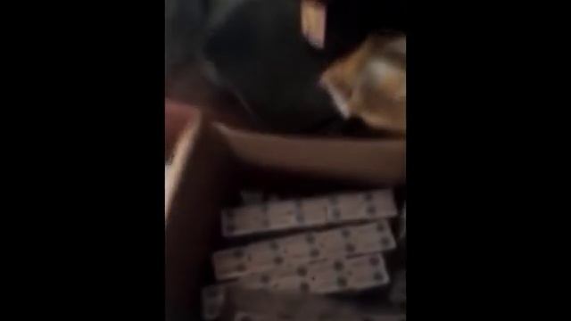 Четверть миллиона пачек поддельных сигарет обнаружили в Погарском районе смотреть онлайн