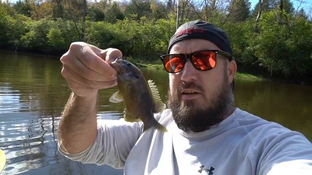 Ohio Fall Creek Fishing on the Kayak! смотреть онлайн