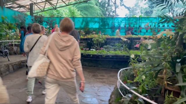 Индия . Гангток. Гималаи . 10 день . Грабеж магазинов и обучение смотреть онлайн