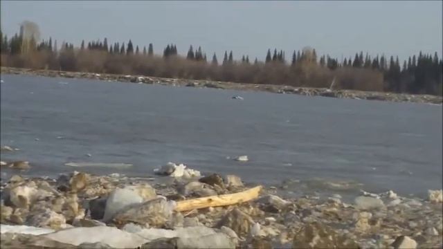 Началась навигация на Томи в Северске. 23 апреля 2013 г. смотреть онлайн