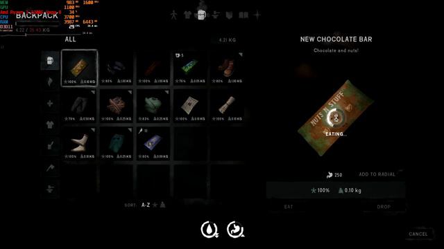 The Long Dark - Ryzen 3 2200G Vega 8 - Gameplay