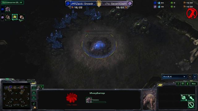 7xLT vs Нorizon Academy смотреть онлайн