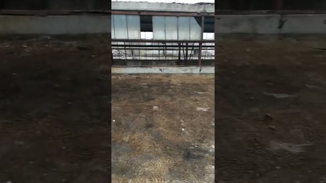 Алмазная резка и бетонавырубка. Сверление. Srl. PRODIAMANT CONSTRUCT Chisinau. Moldova. 079324796 смотреть онлайн