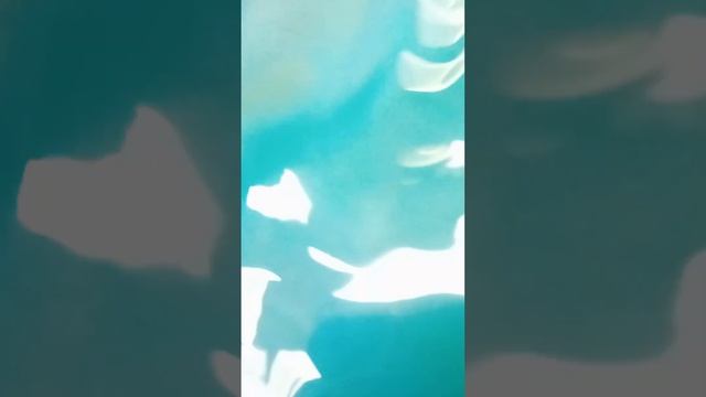 Мы гуляем в парке Швейцария и пакабате смотреть онлайн
