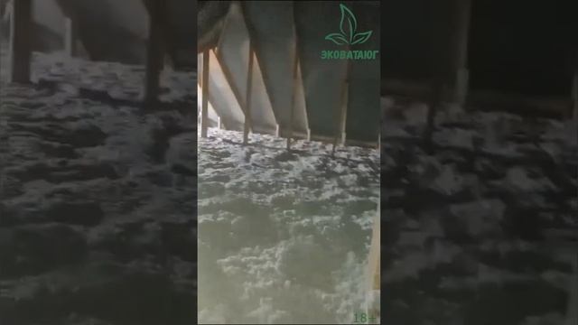 Утепление перекрытия эковатой смотреть онлайн