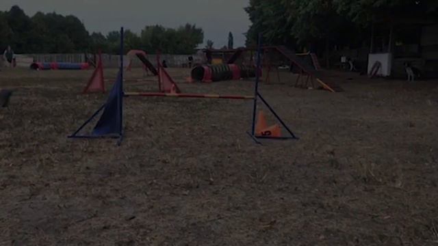 SUMMER 2019 ~ Feels like Summer смотреть онлайн