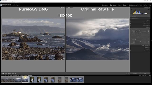 Create Better RAW Files? Testing DxO PureRAW