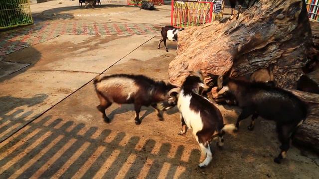 Опасные каньоны