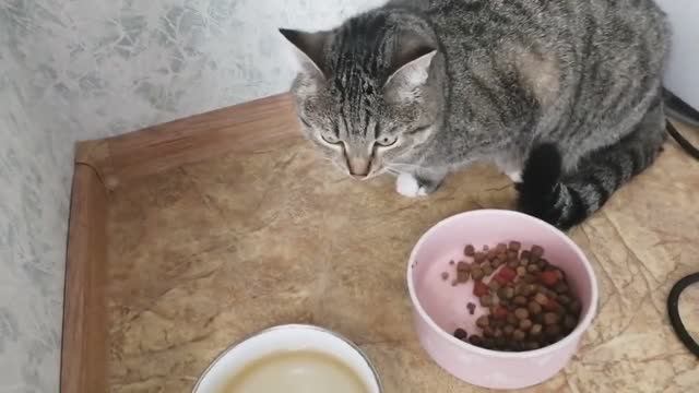 Умелки Ромы в 2 месяца_Занимаемся на фитболе_Гуляем на детской площадке