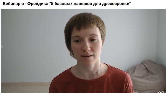 Запись вебинара "5 базовых навыков для дрессировки" смотреть онлайн