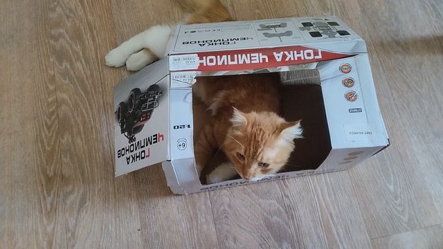 В домике моём...