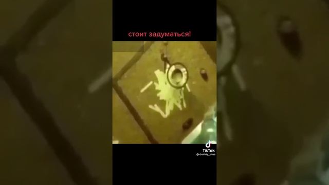 Мыши. Эксперимент. Этология.mp4