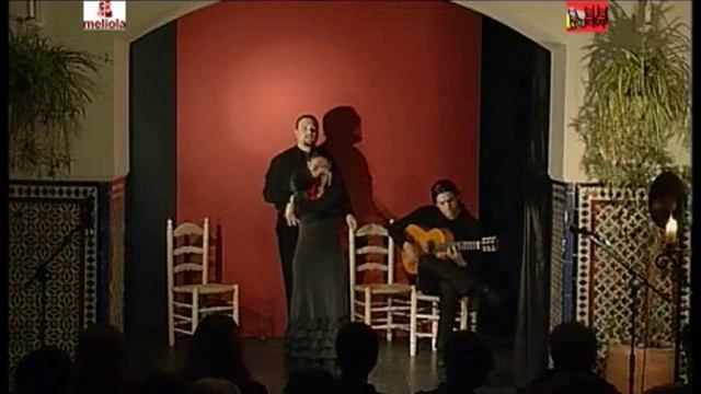 Auditorio Álvarez Quintero смотреть онлайн