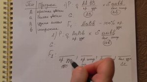 Разбор задачи на сцепленное наследование