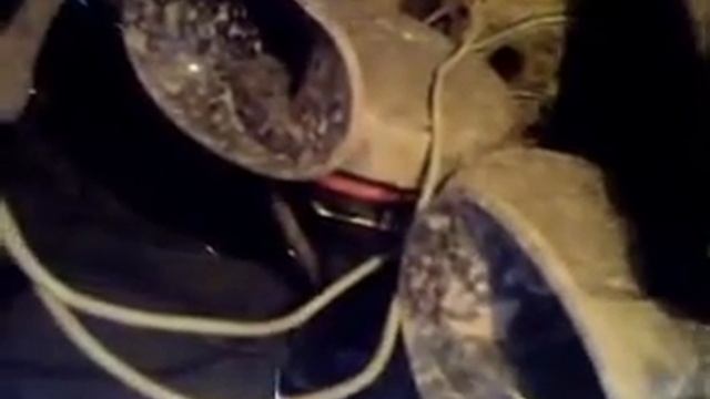 Сигнал на автомобиль Шкода Октавия Тур А4