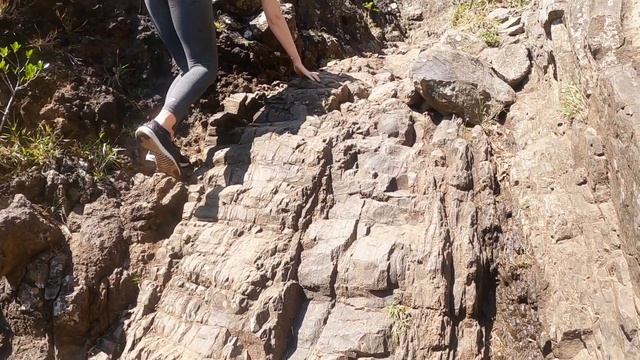 HIKING LE MORNE BRABANT | Do you need a guide? Dangerous? | An Honest Depiction |Mauritius Vlog #03 смотреть онлайн