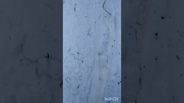 УРАЛЬСКИЕ ГОРЫ НА СНЕГОХОДЕ смотреть онлайн