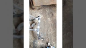 Печка на рено магнум.