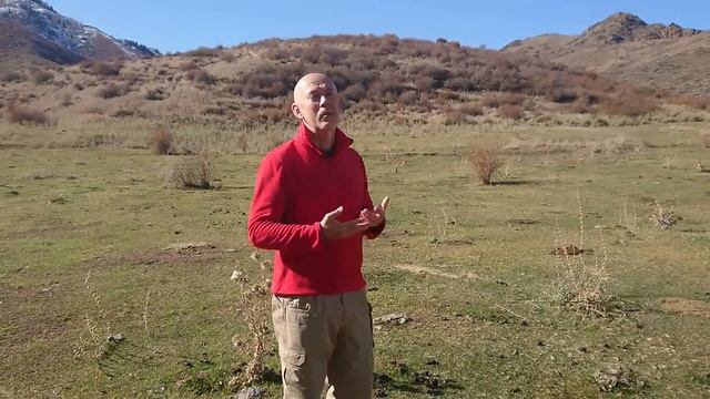 Михаэль Паскевич 44 Чакры Человека смотреть онлайн